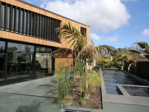 Prospect trc,Mt Eden. Rear courtyard