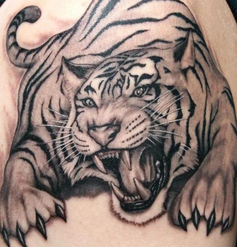 west coast tattoo nz strandon localist west coast tattoo nz strandon localist