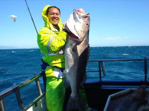 Deep Star Fishing Charters, Tauranga Central • Localist