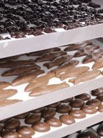 Gourmet Chocolates