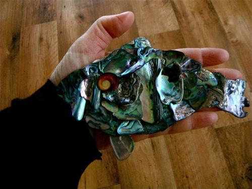 Paua Fish