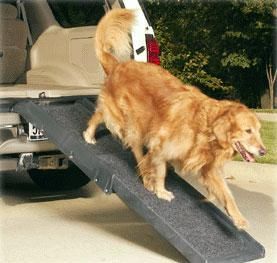 Doggie ramps and grooming products