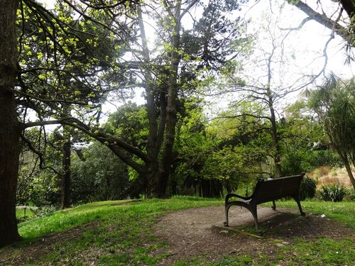 Western Park Auckland