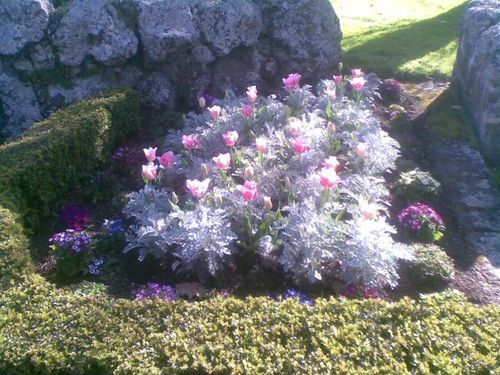 wedding flowers