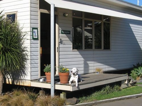 Reception - with Otto on duty!