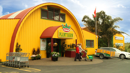 Kings Plant Barn Ltd Takanini Takanini Localist