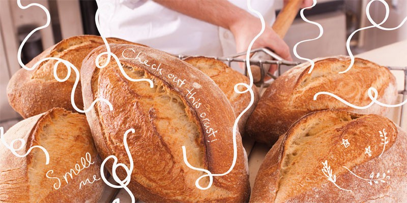 Best Freshly Baked Bread In Wellington Wellington Localist