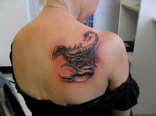 primal instinct piercing primal instinct piercing