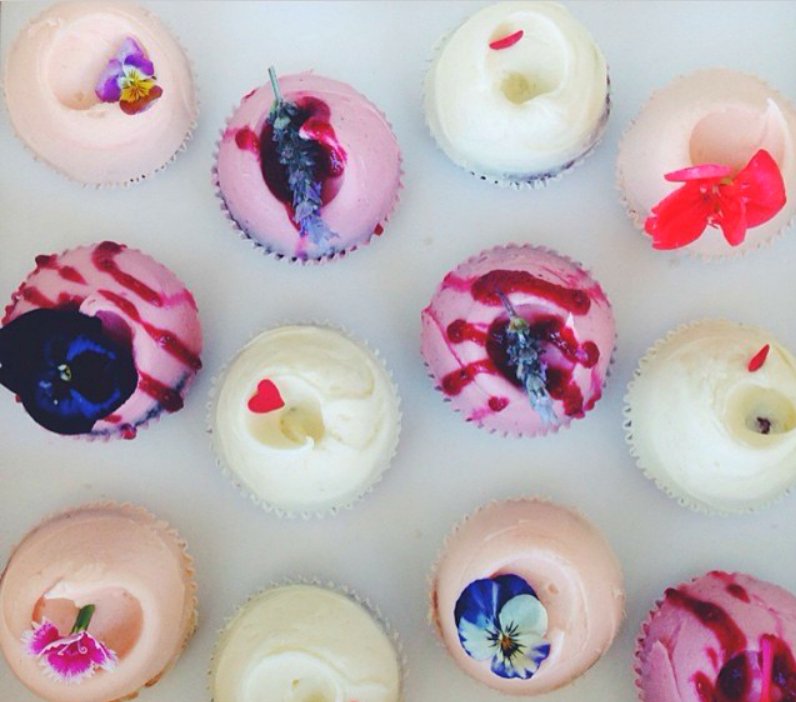 10 Of The Cutest Cupcakes In Auckland, Auckland • Localist