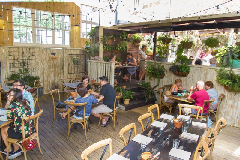 The Garden Shed, Mount Eden • Localist