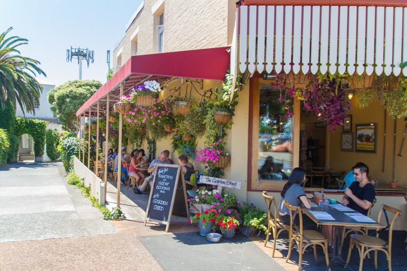 The Garden Shed, Mount Eden • Localist