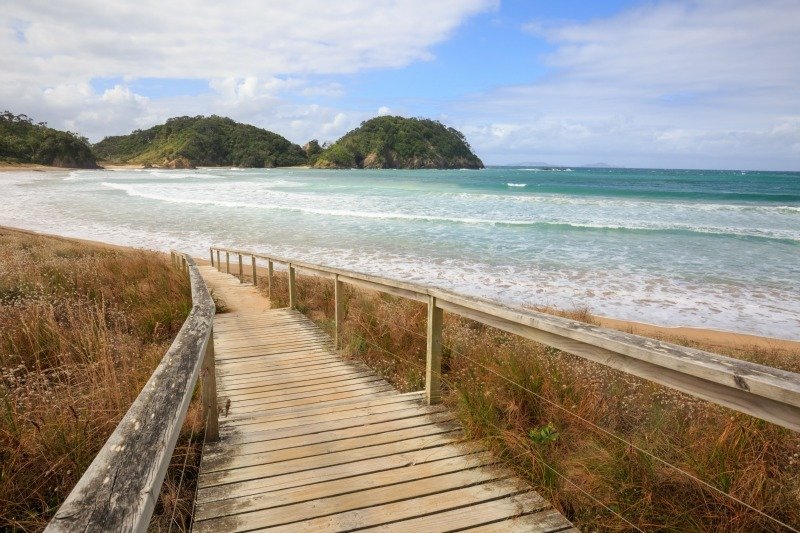 15 Of The Best Nz Beaches You Need To Visit This Summer Auckland 226420