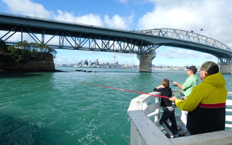 Hook, Line and Sinker: Best Local Fishing Spots, Auckland • Localist