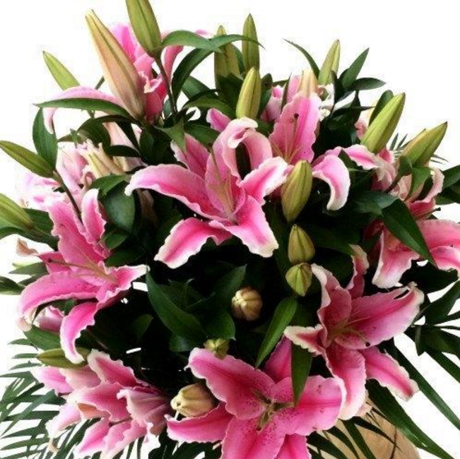 Flower Shop Florist Wellington, Wellington • Localist