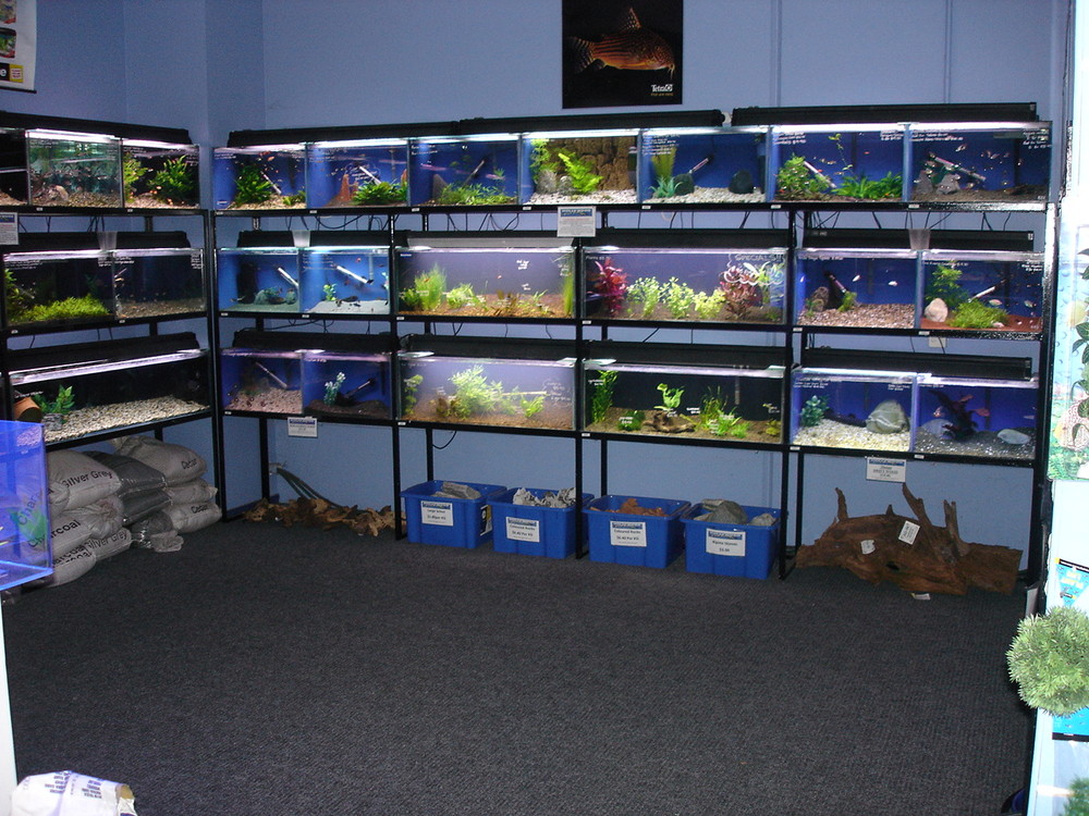 Hollywood Fish Farm, Albany • Localist