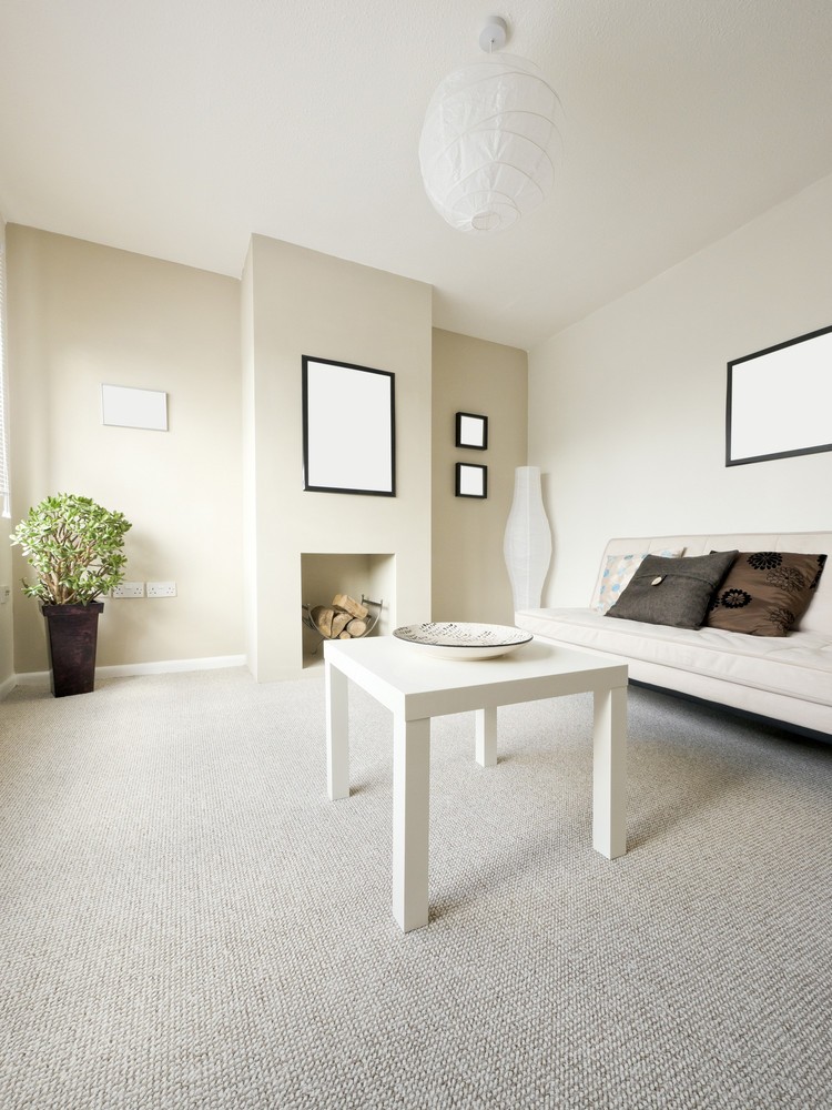 Online Carpet, Auckland Central • Localist