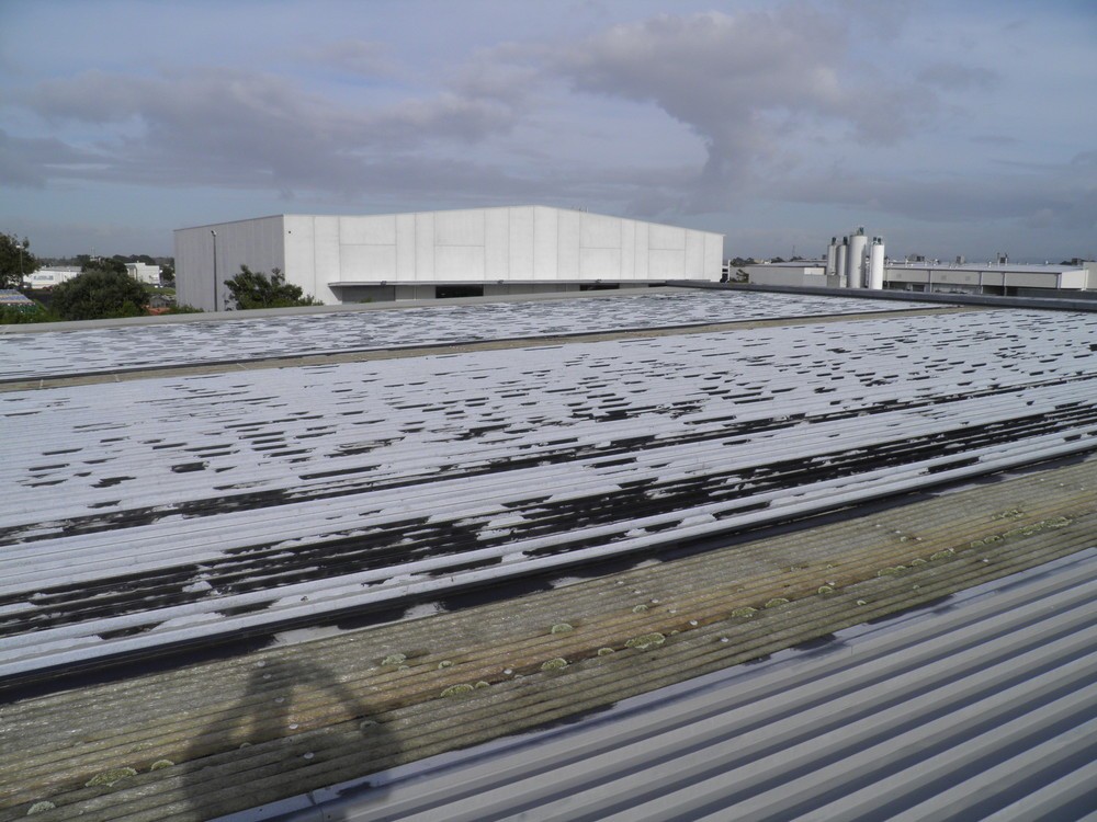 The House Painting Company Auckland Painters, Devonport • Localist