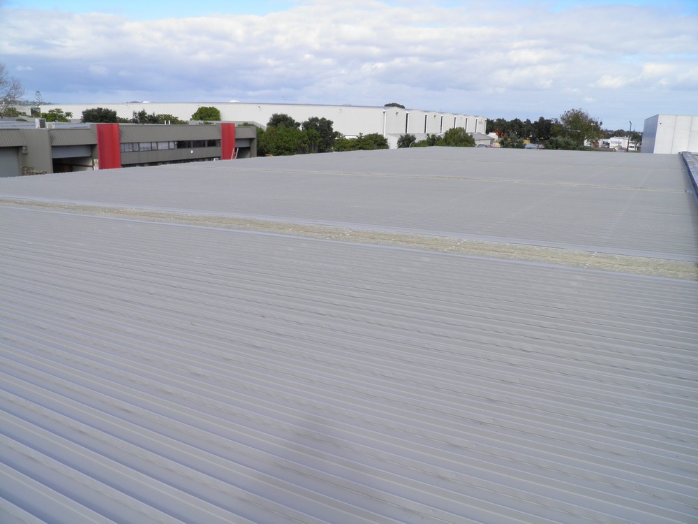 The House Painting Company Auckland Painters, Devonport • Localist