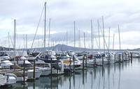 Picturesque Half Moon Bay