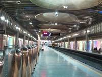 Check out Britomart before the RWC