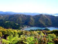 Great Barrier Island