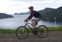 Stunning scenery on the Great Barrier Island Wharf to Wharf