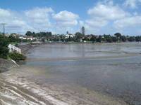 Coxs Bay Westmere Auckland 1022