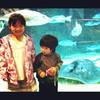 <p>
	We love sharks</p>
