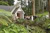 The forest pond is a lovely spot for wedding photos. Pic: Footbridge Lodge